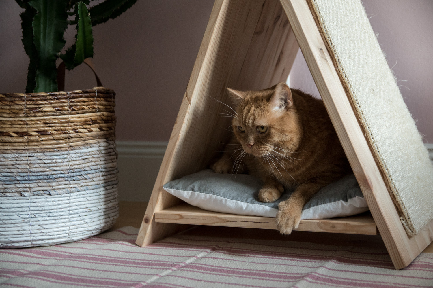 Katzen Diy
 DIY Katzentipi – Schlafplatz und Kratzmöbel in einem