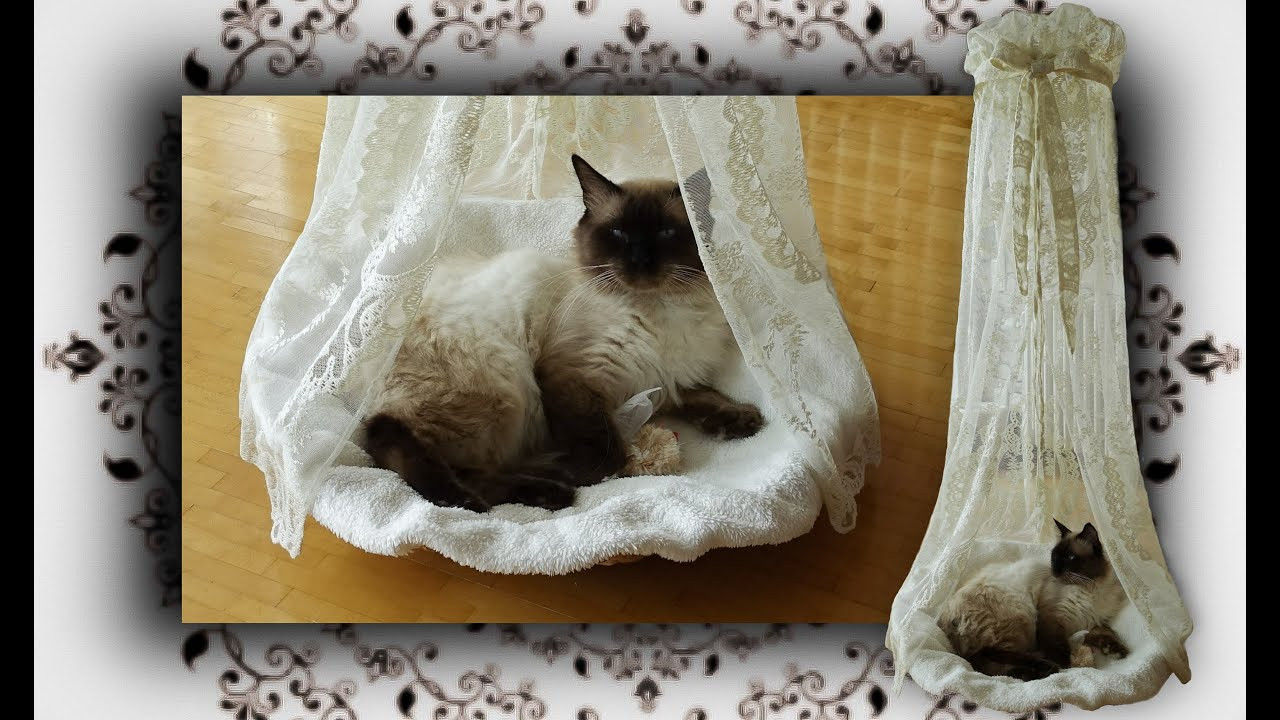 Katzen Diy
 DIY 😻 Himmelbett Körbchen für Katzen