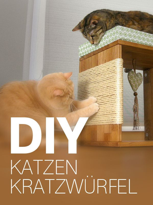 Katzen Diy
 Katzenmöbel Kratzwürfel für Katzen selber bauen DIY