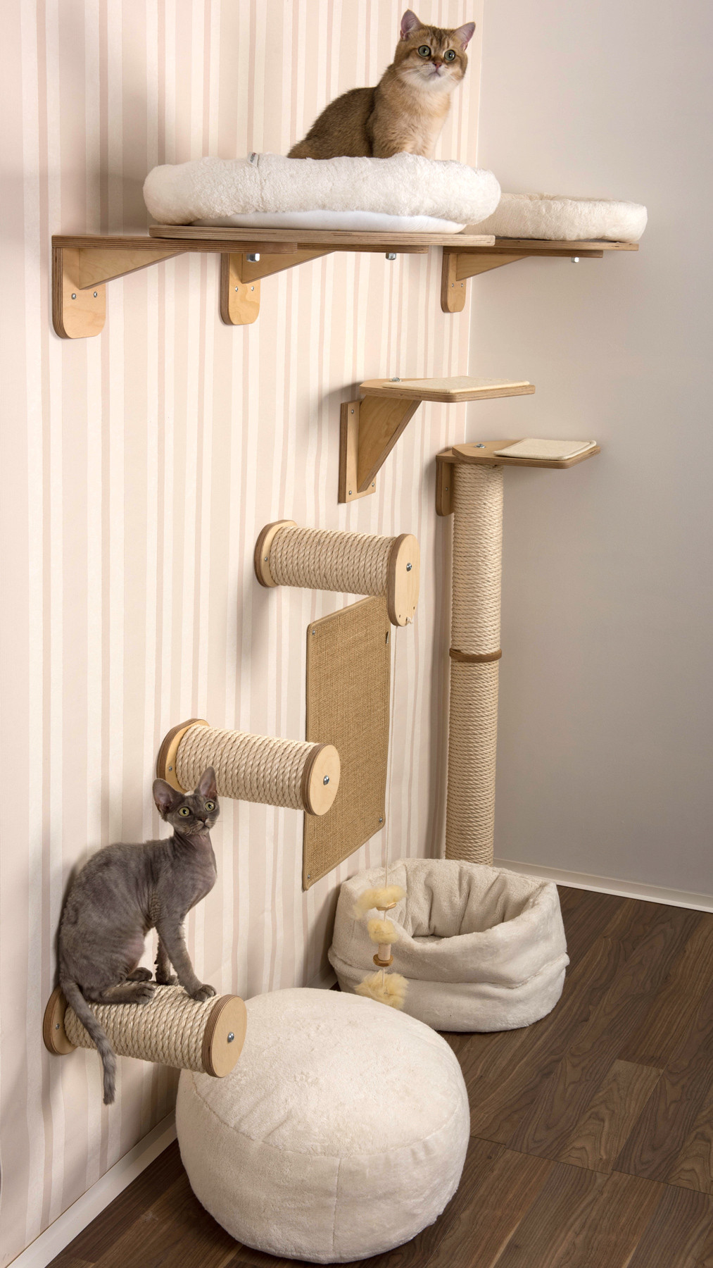 Katzen Kletterwand Diy
 Climbing wall for cats – cat furniture for your walls