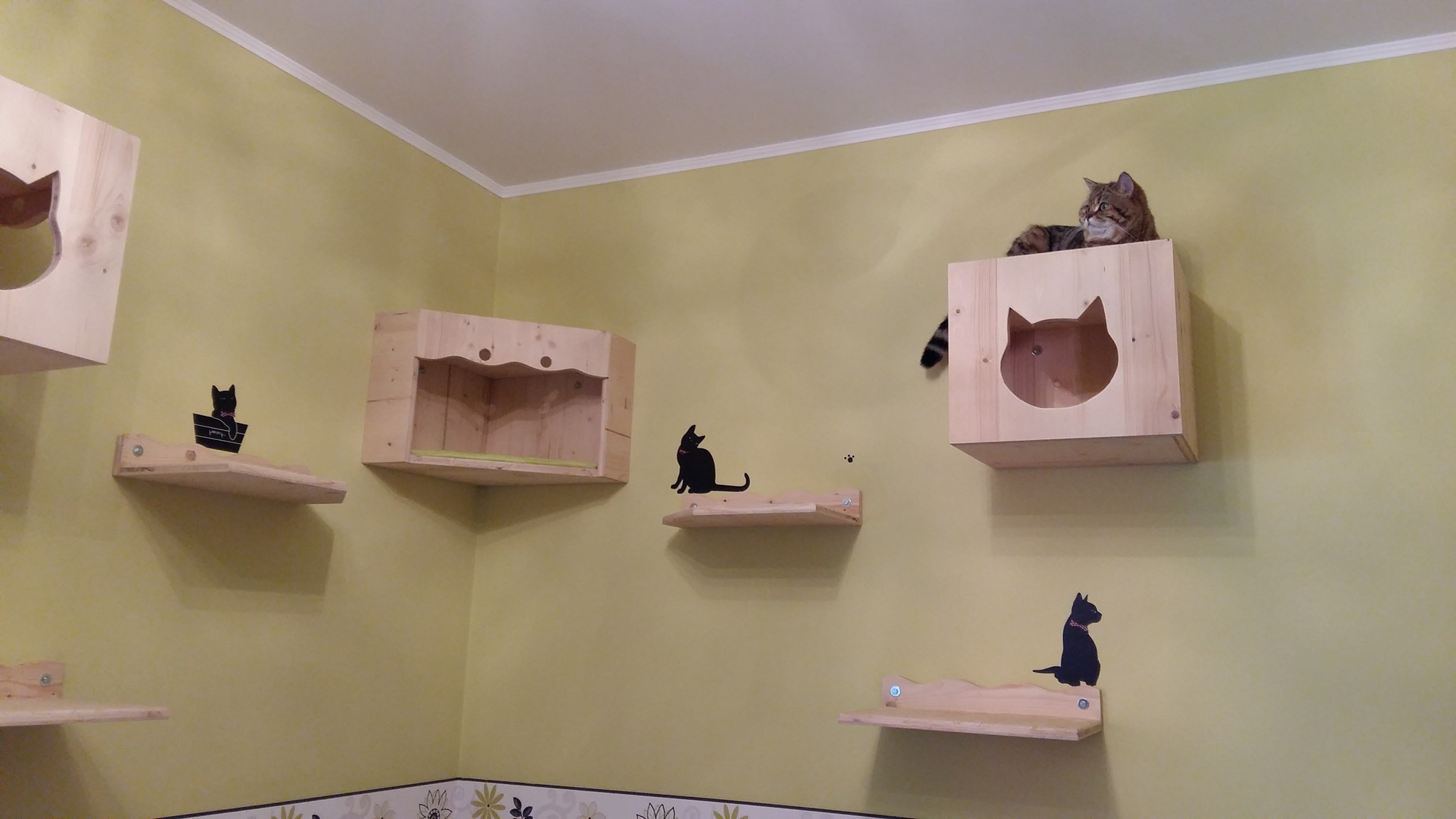 Katzen Kletterwand Diy
 DIY – Katzen Kletterwand