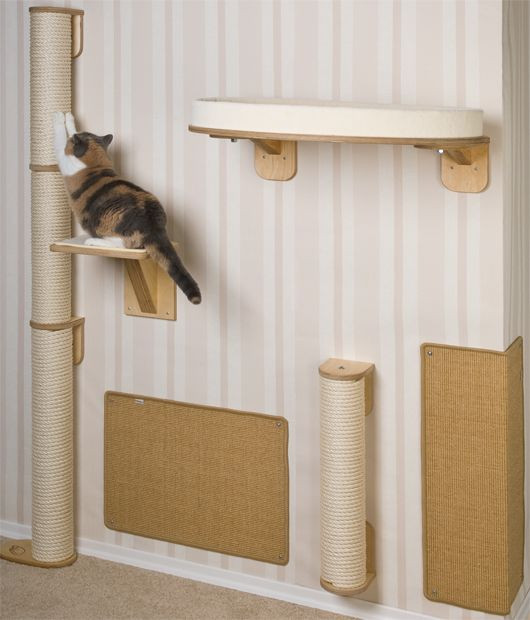 Katzen Kletterwand Diy
 Kratzwand Cats Pinterest