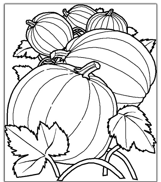 ausmalbilder malvorlagen kuerbis kostenlos zum ausdrucken Kürbis Malvorlagen
Ausmalbilder Malvorlagen – Kürbis kostenlos zum