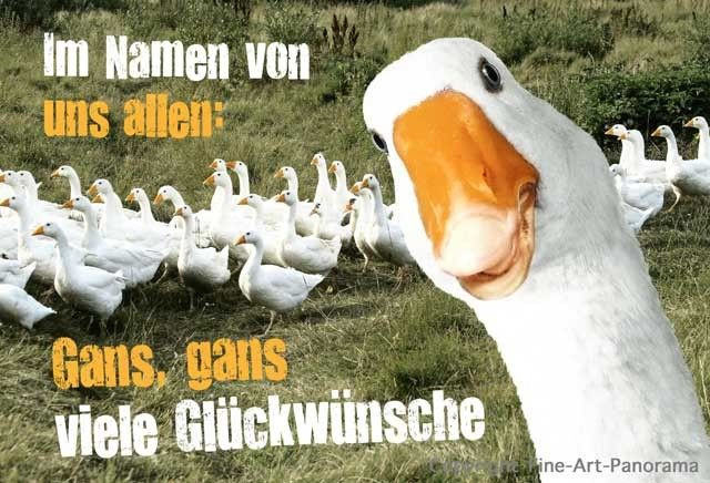 Lustig Geburtstagsbilder
 Lustige Geburtstagskarte – Im Namen von uns allen Gans