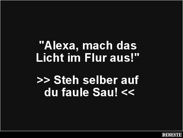 Mach Das Licht Aus
 Alexa mach das Licht im Flur aus