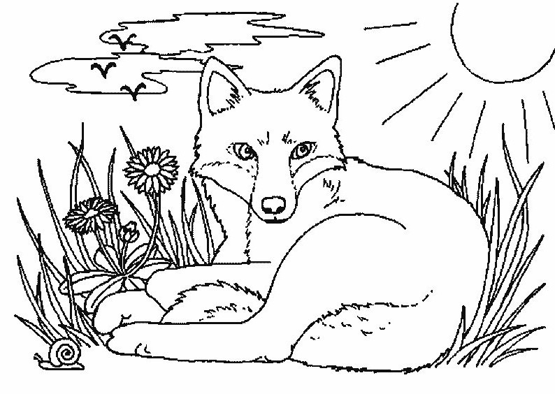 Malvorlagen Fuchs
 Malvorlagen fur kinder Ausmalbilder Fuchs kostenlos