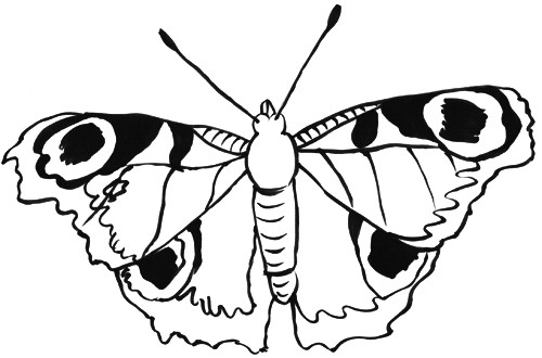 Malvorlagen Schmetterlinge
 Schmetterlinge Malvorlagen
