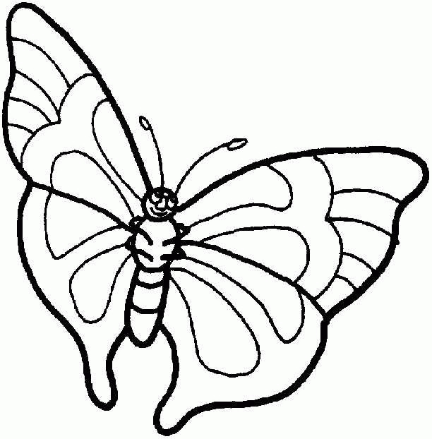 Malvorlagen Schmetterlinge
 Schmetterling Malvorlagen Malvorlagen1001