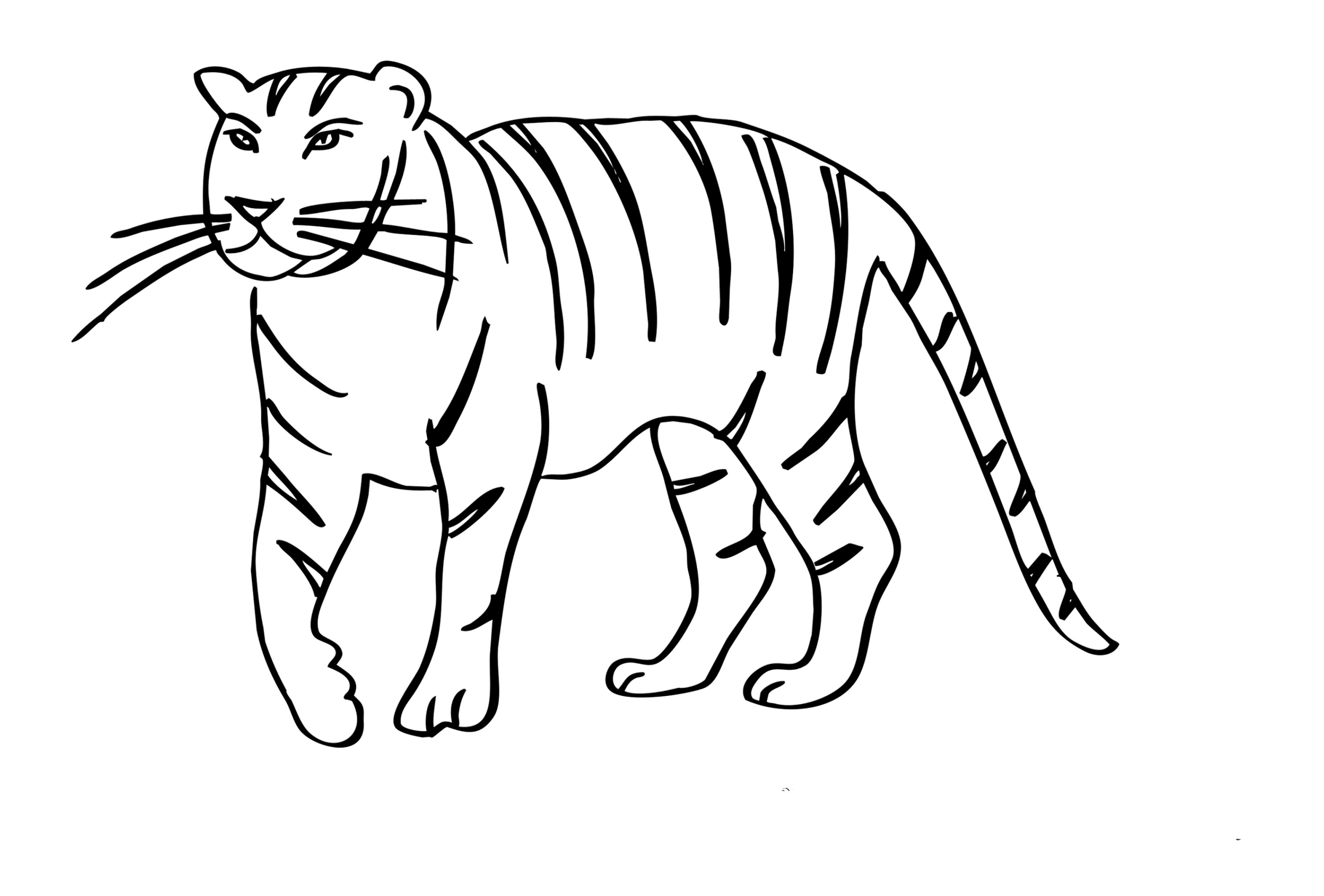 Malvorlagen Tiger
 Ausmalbilder zum Ausmalen Malvorlagen Tiger kostenlos 2