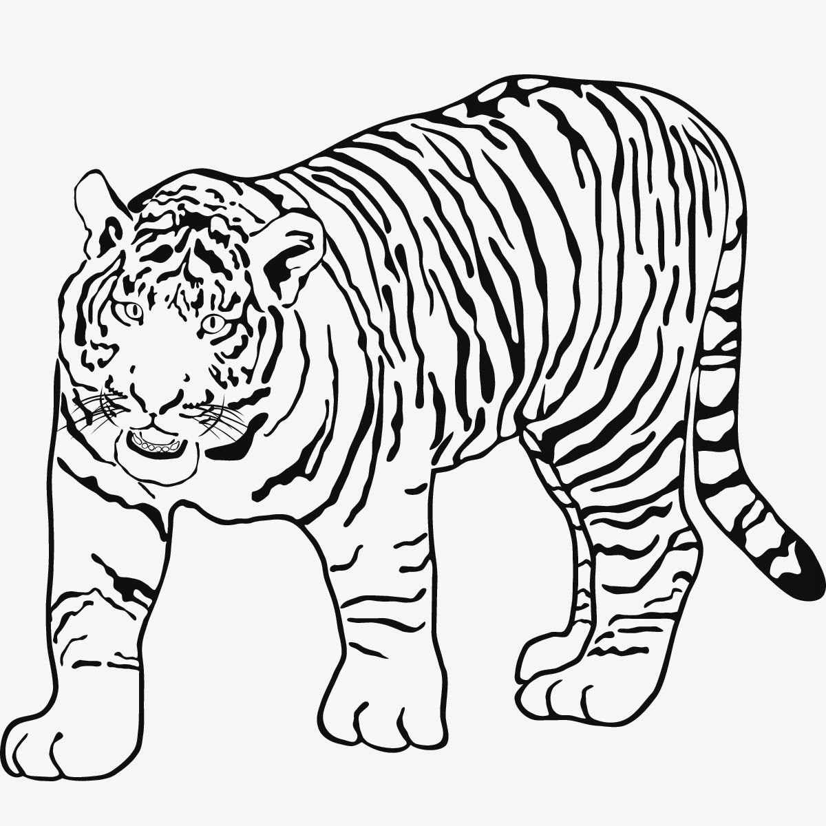 Malvorlagen Tiger
 Malvorlagen Gratis TIGER MALVORLAGEN