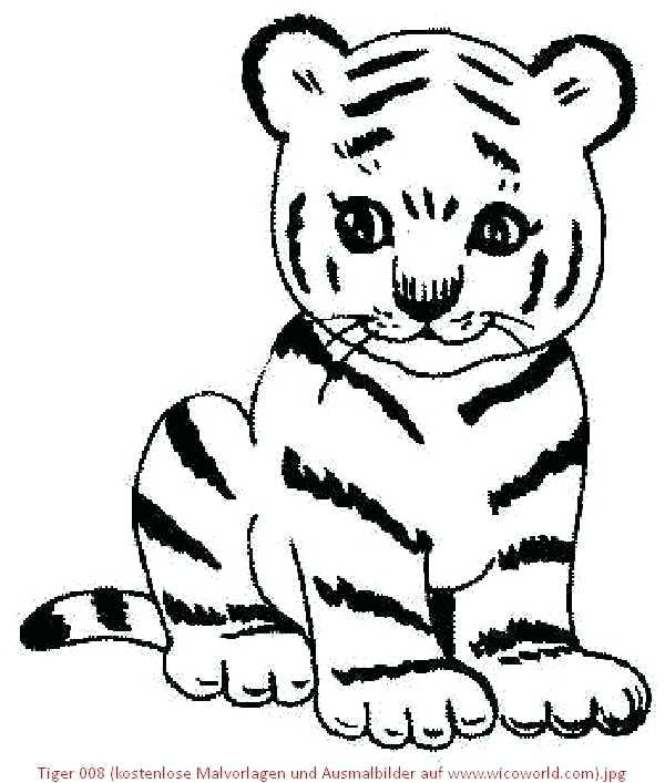 Malvorlagen Tiger
 Tiger Malvorlagen Malvorlagen Tiger Kostenlos Ausdrucken