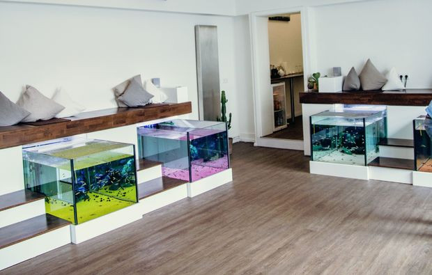 Maniküre Hannover
 Fisch Maniküre und Pediküre in Hannover als Geschenk