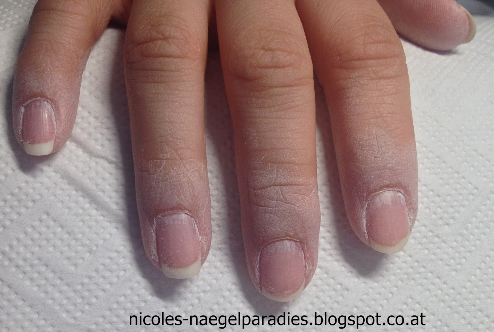 Maniküre Shellac
 Nicoles Nägelpara s DIY Shellac Maniküre Shellac