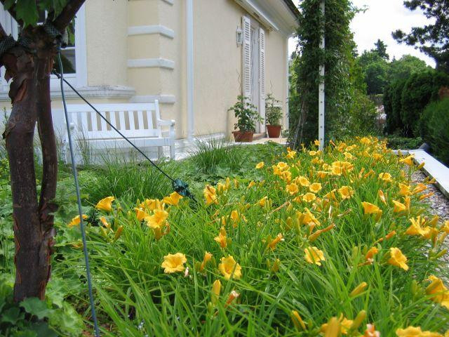 Mein Schöner Garten Forum
 Garagendach begrünen Mein schöner Garten Forum