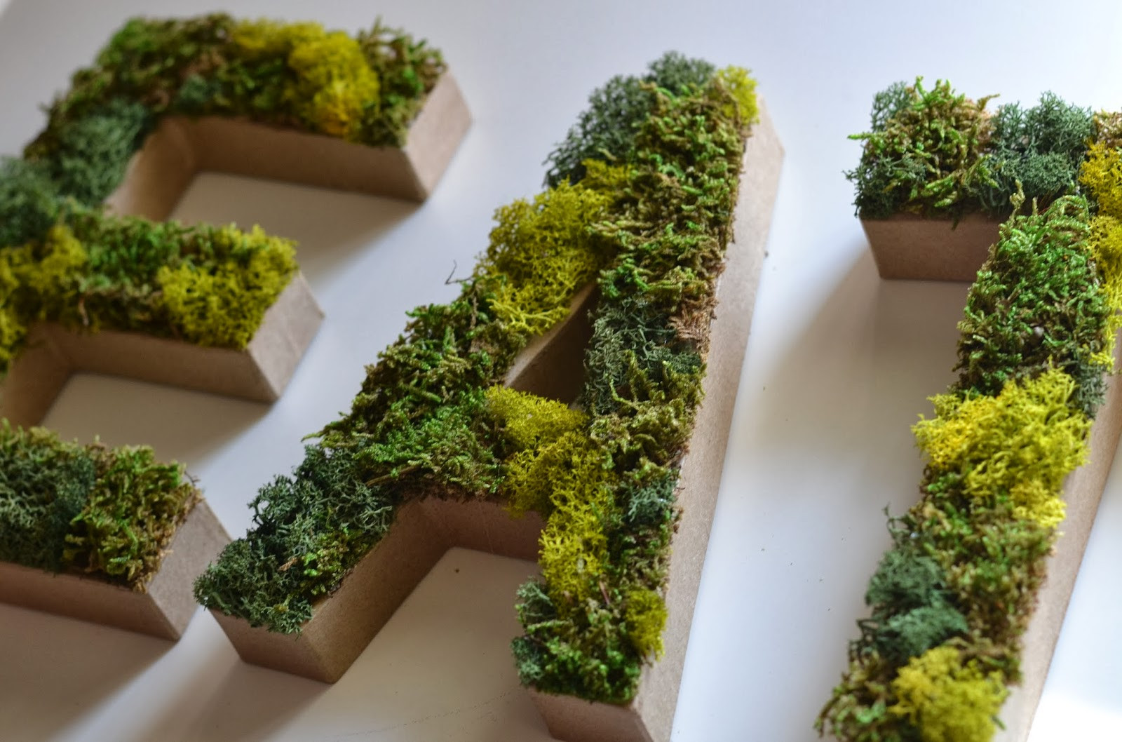 Mooswand Diy
 Living In Vogue DIY Moss Letters