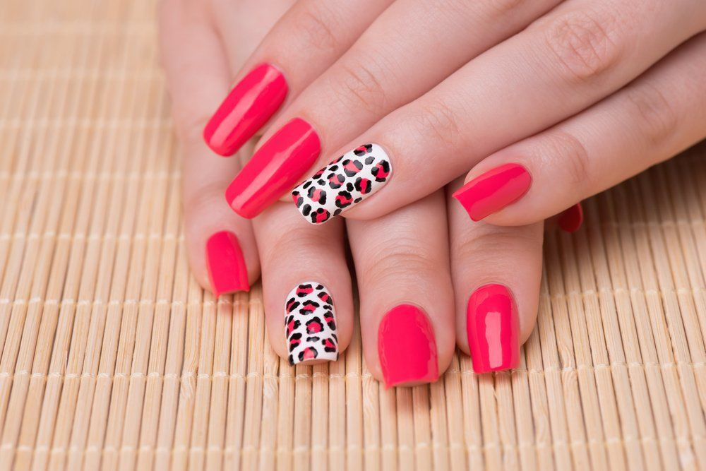 Nageldesign Leoparden Look
 Tipps Naildesign Leoparden Look Nageldesign Magazin