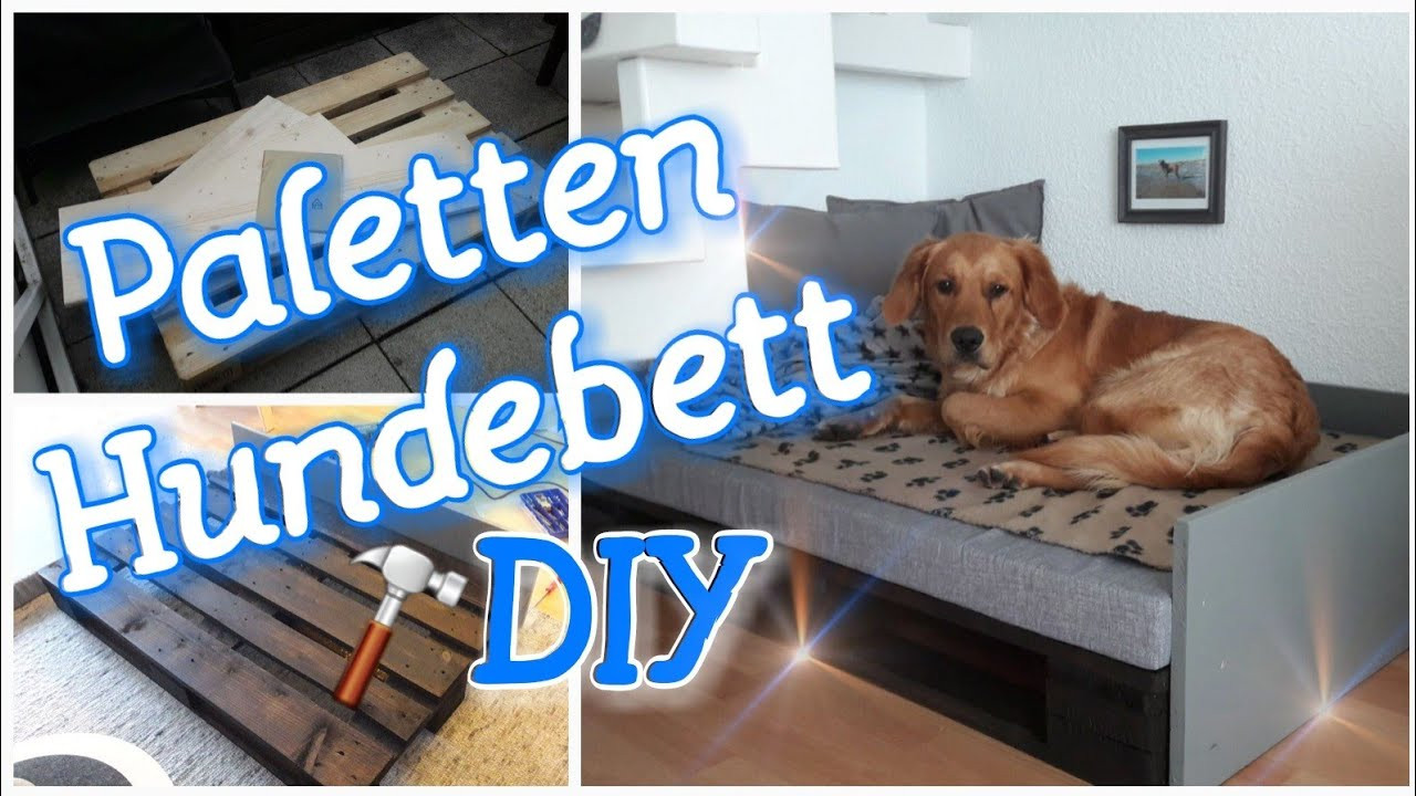 Paletten Diy
 DIY Paletten Hundebett