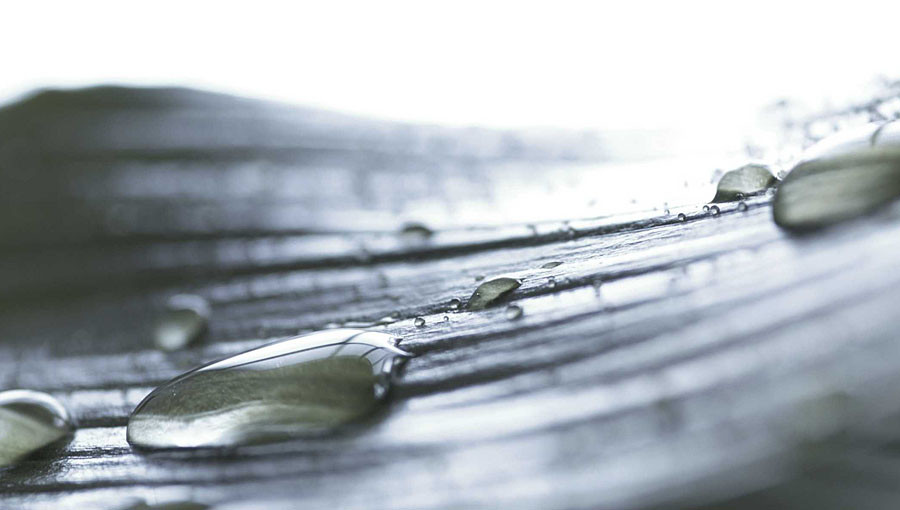 Pediküre Und Maniküre
 Pediküre Alpenhotel Küren