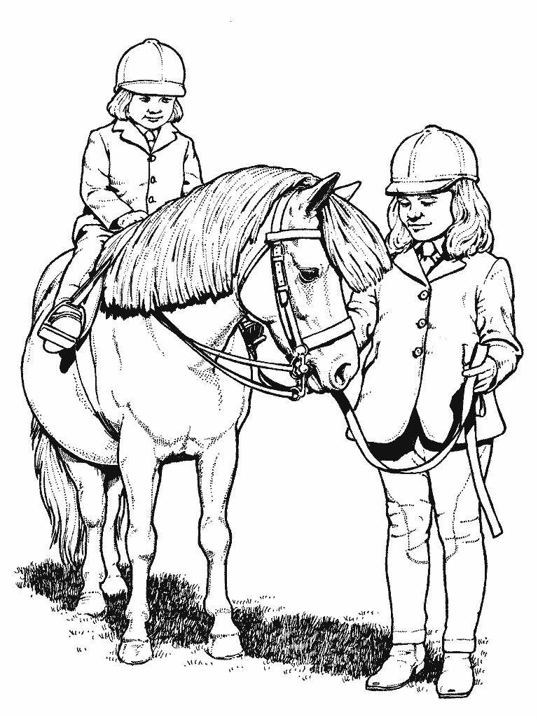 Pennywise Ausmalbilder
 Equitación para niños HD