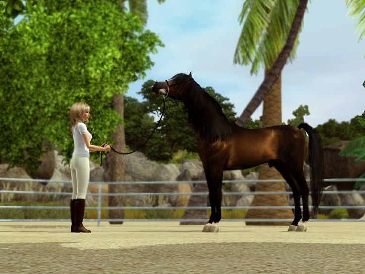 Pferde Frisuren
 Sims 3 pferde frisuren – Moderne männliche und weibliche