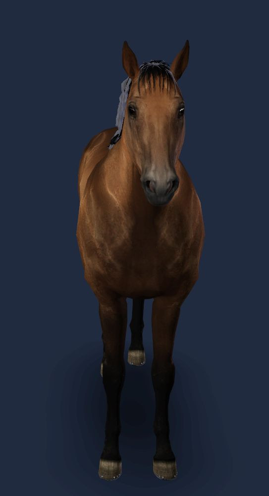 Pferde Frisuren
 Sims 3 pferde frisuren – Moderne männliche und weibliche