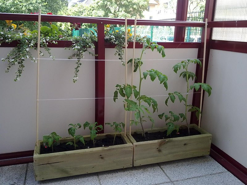 Rankhilfe Diy
 DIY Tomatenkästen für den Balkon