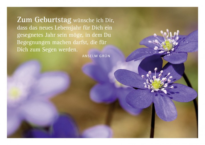 Religiöse Geburtstagswünsche
 Glückwunschkarte "Blumen" mit Glückwunsch von Anselm Grün