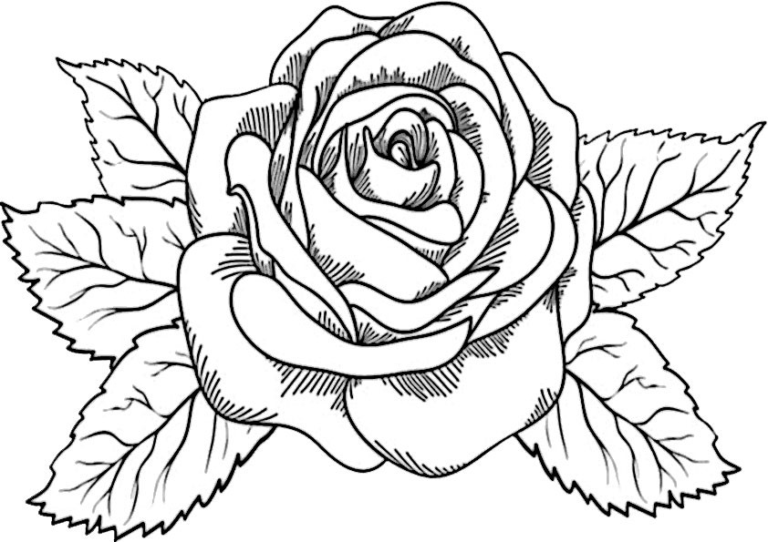 Rosen Ausmalbilder
 Blumen 2