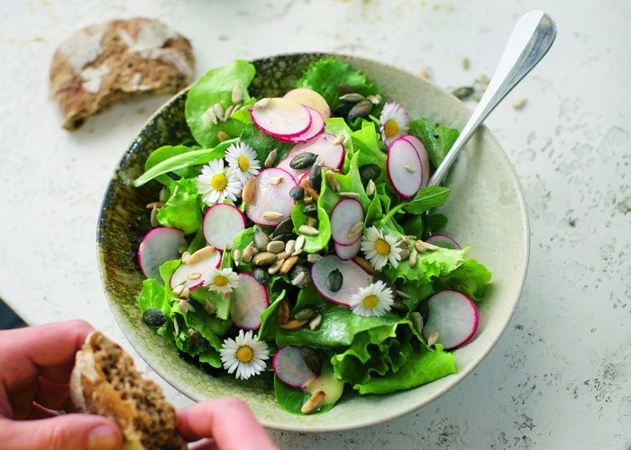 Salat Anrichten
 Salat Rezepte Kreative Küche für den schnellen Familienalltag