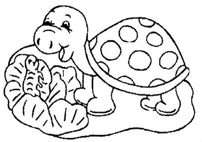 Schildkröte Ausmalbilder
 Schildkröte ausmalbilder 08