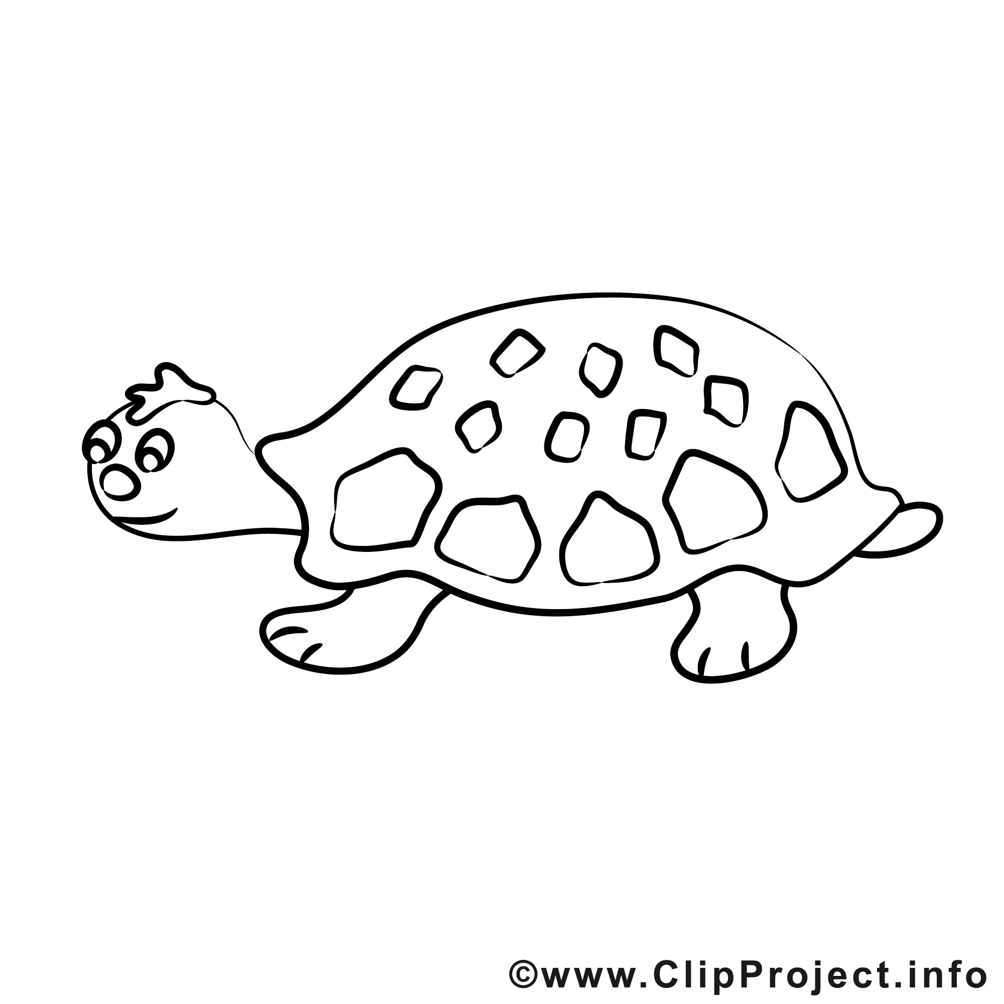 Schildkröte Ausmalbilder
 Schildkroete Bild zum Ausmalen