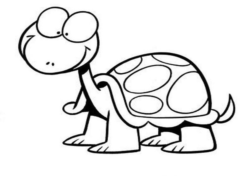 Schildkröte Ausmalbilder
 Schildkröte ausmalbilder 11