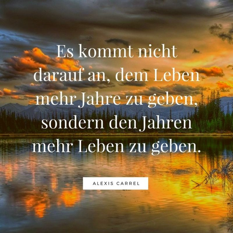 Schöne Zitate Zum Geburtstag
 besinnliche Zitate Geburtstag Alexis Carrel