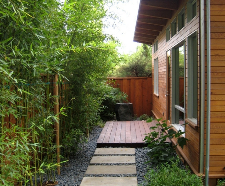 Sichtschutz Diy
 Bambus im Garten – DIY Sichtschutz für Terrasse