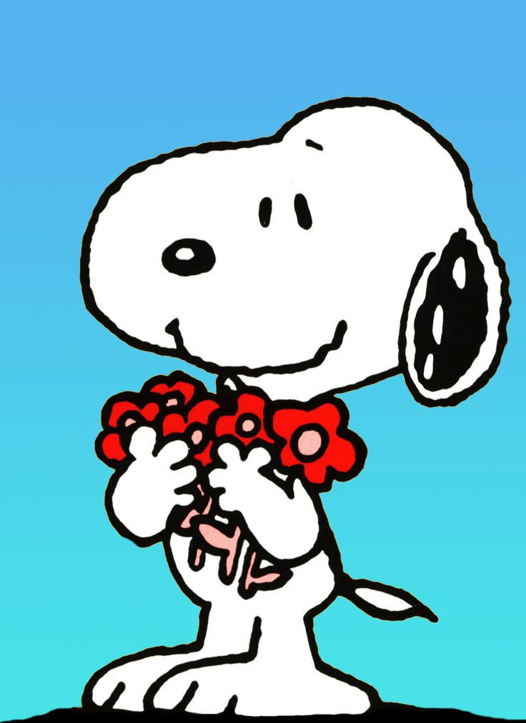 Snoopy Geburtstagsbilder
 3553 besten Snoopy Bilder auf Pinterest