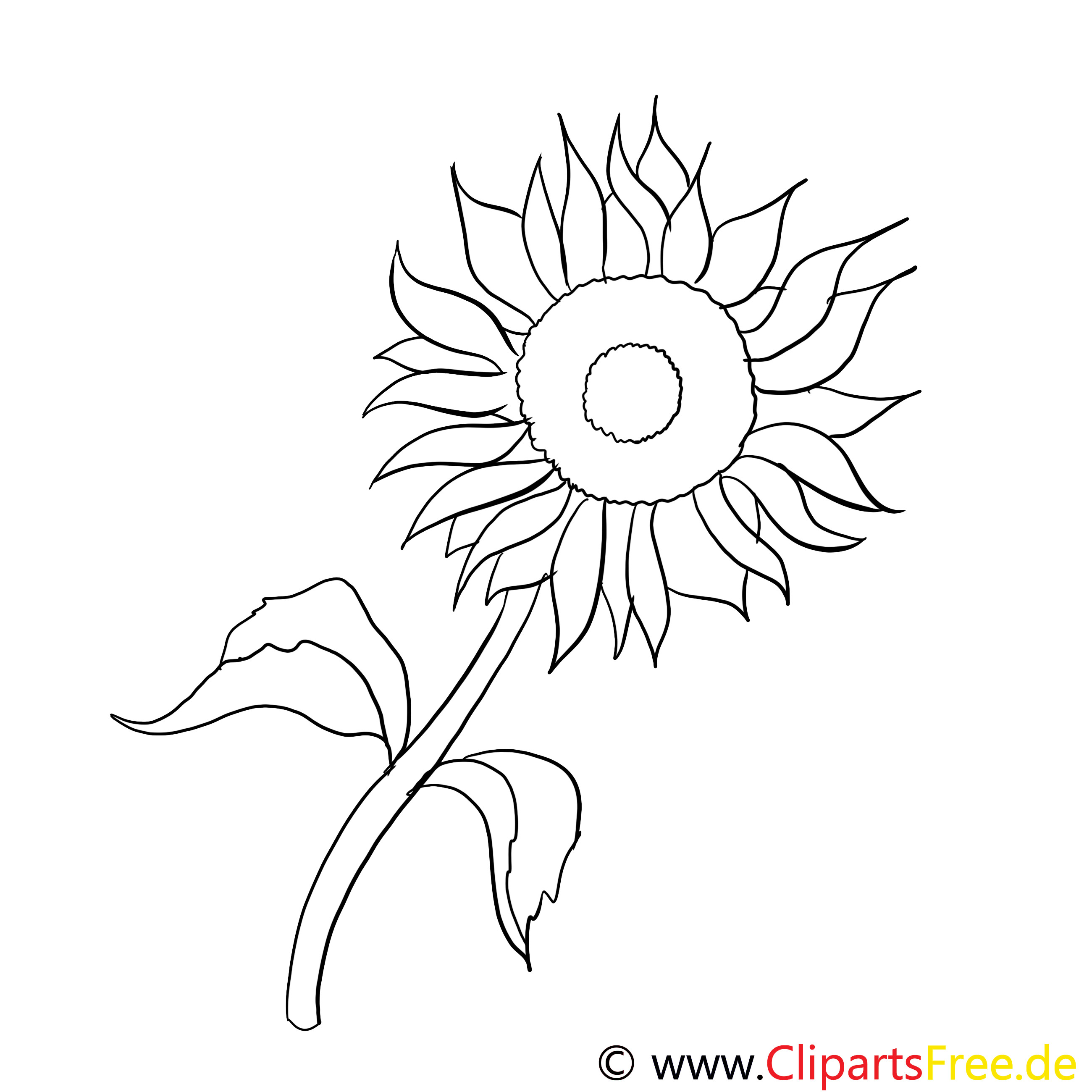 Sonnenblume Malvorlagen Kostenlos
 Sonnenblume Malvorlage kostenlos