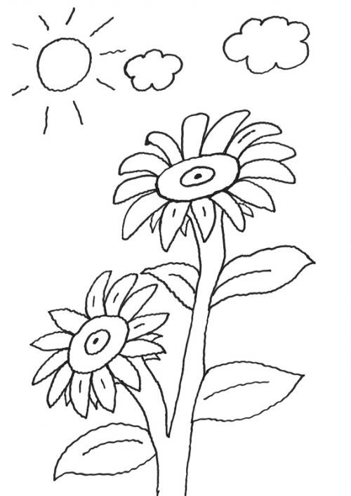Sonnenblume Malvorlagen Kostenlos
 Kostenlose Malvorlage Blumen Sonnenblume zum Ausmalen