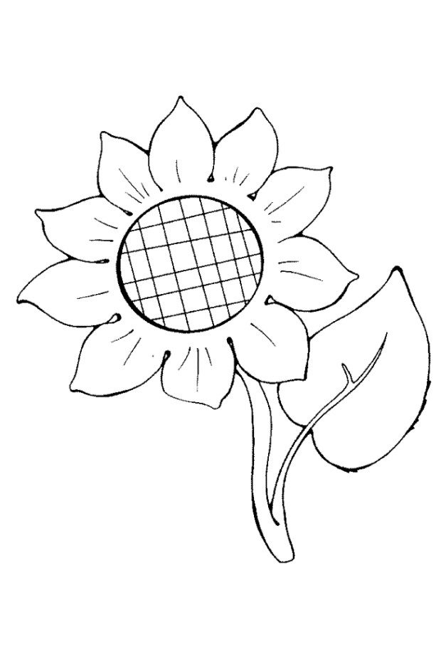 Sonnenblume Malvorlagen Kostenlos
 Ausmalbilder zum Ausdrucken Gratis Malvorlagen Sonnenblume 2
