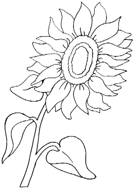 Sonnenblume Malvorlagen Kostenlos
 Malvorlagen zum Ausdrucken Ausmalbilder Sonnenblume
