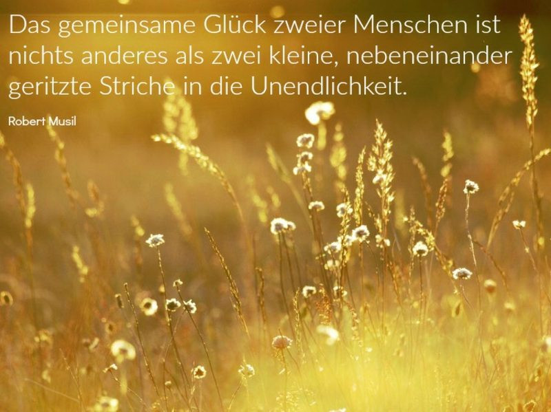 Sprüche Für Gästebuch Zur Goldenen Hochzeit
 Glückwünsche und Sprüche für goldene Hochzeit der