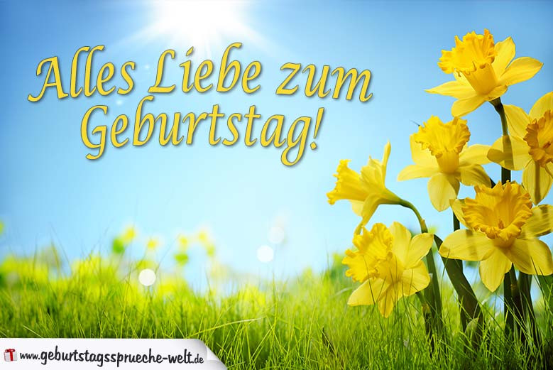 Sprüche Für Geburtstagskarten
 Geburtstagskarte Alles Liebe zum Geburtstag