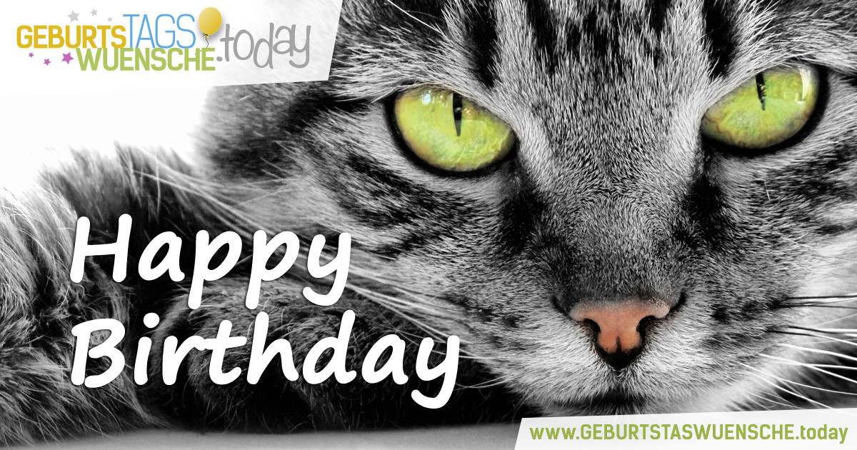 Süße Geburtstagswünsche
 Geburtstagsgrüße – schönes Bild "Süße Katze"