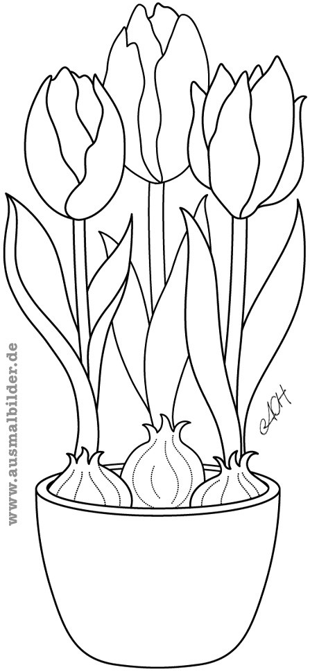 Tulpen Ausmalbilder
 Als JPG Bild herunterladen
