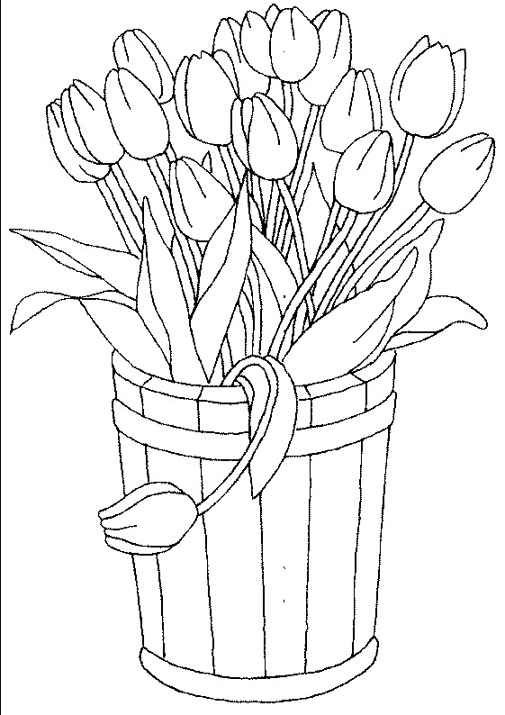 Tulpen Ausmalbilder
 Ausmalbilder Malvorlagen von Tulpen kostenlos zum