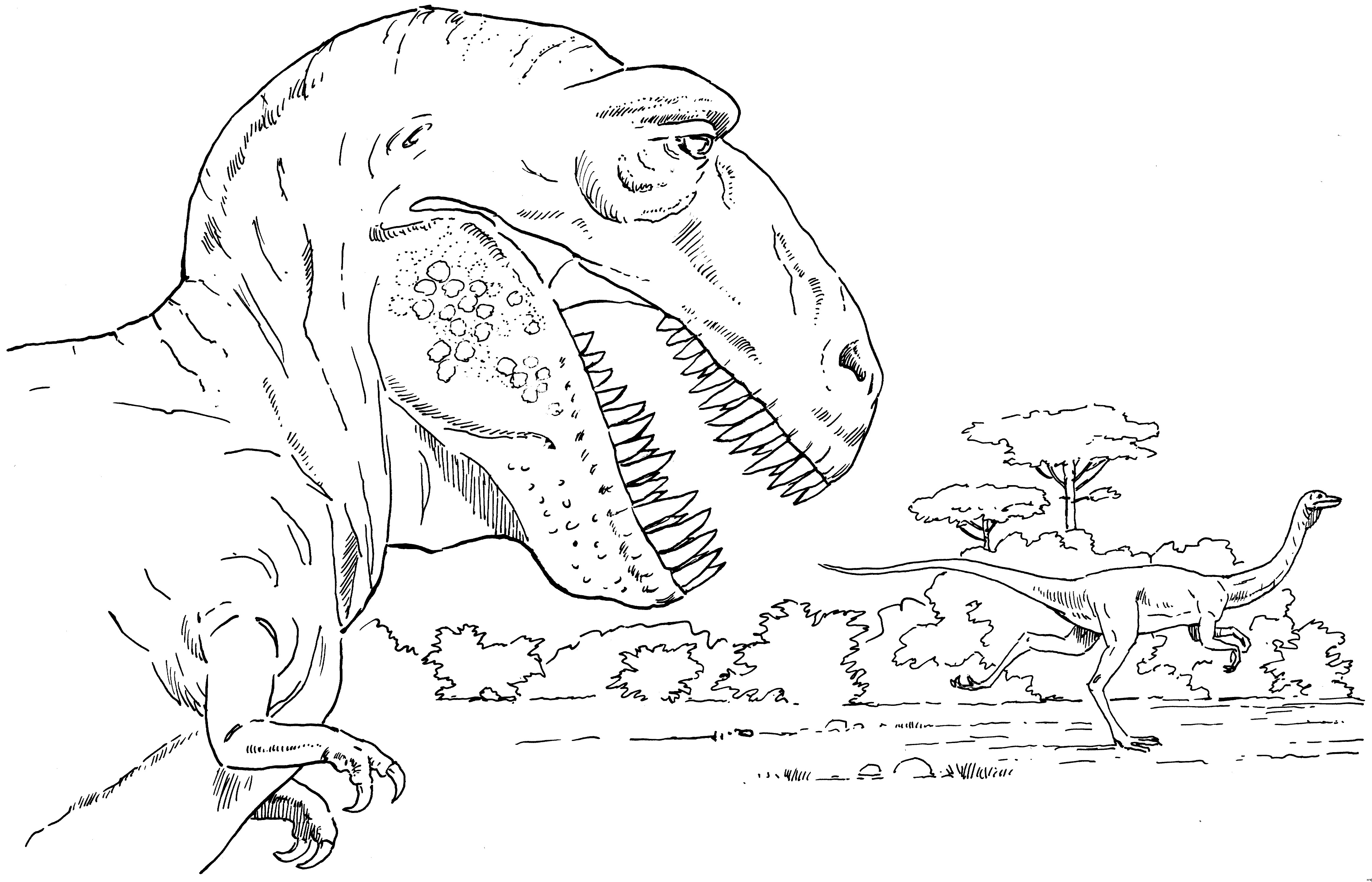 Tyrannosaurus Rex Ausmalbilder
 T Rex Jagt Einen Saurier Ausmalbild & Malvorlage Tiere