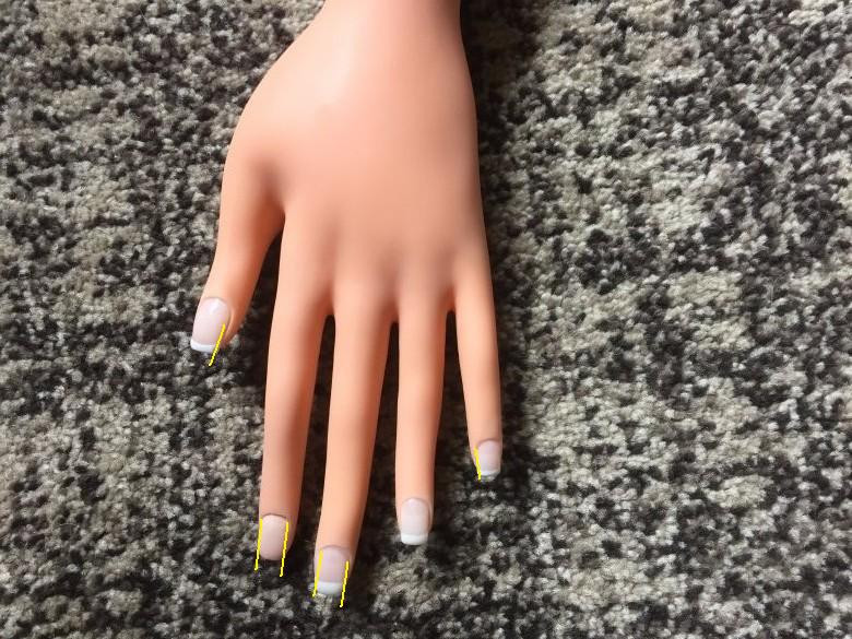 Übungshand Nageldesign
 Bild Übungshand Draufsicht Anfänger Nagelmodellagen