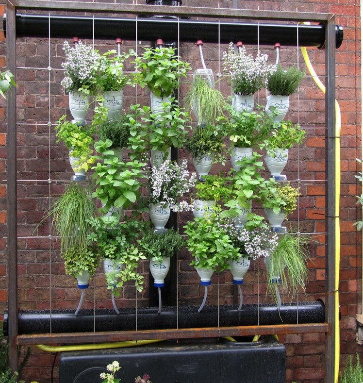 Vertikaler Garten Diy
 DIY Ideen für den Garten Ein vertikaler Blumentopf