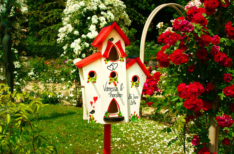 Vogelhaus Hochzeit
 Weiteres Vogelhaus Hochzeit Hochzeit Geldgeschenk ein