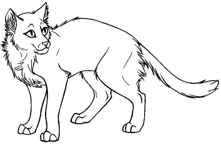 Warrior Cats Ausmalbilder
 Image Warrior cats coloring pages
