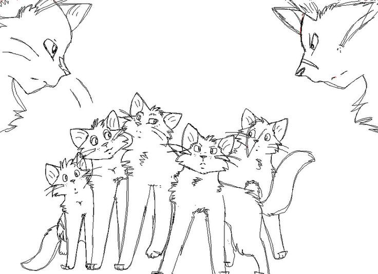 Warrior Cats Ausmalbilder
 Pin by D Kitty97 on Warrior cat coloring pages